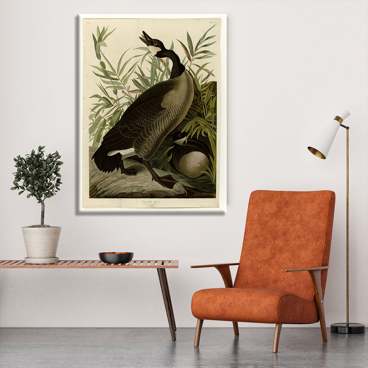 Canada Goose by Audubon Canvas Print or Poster - Canvas Art Rocks - 6