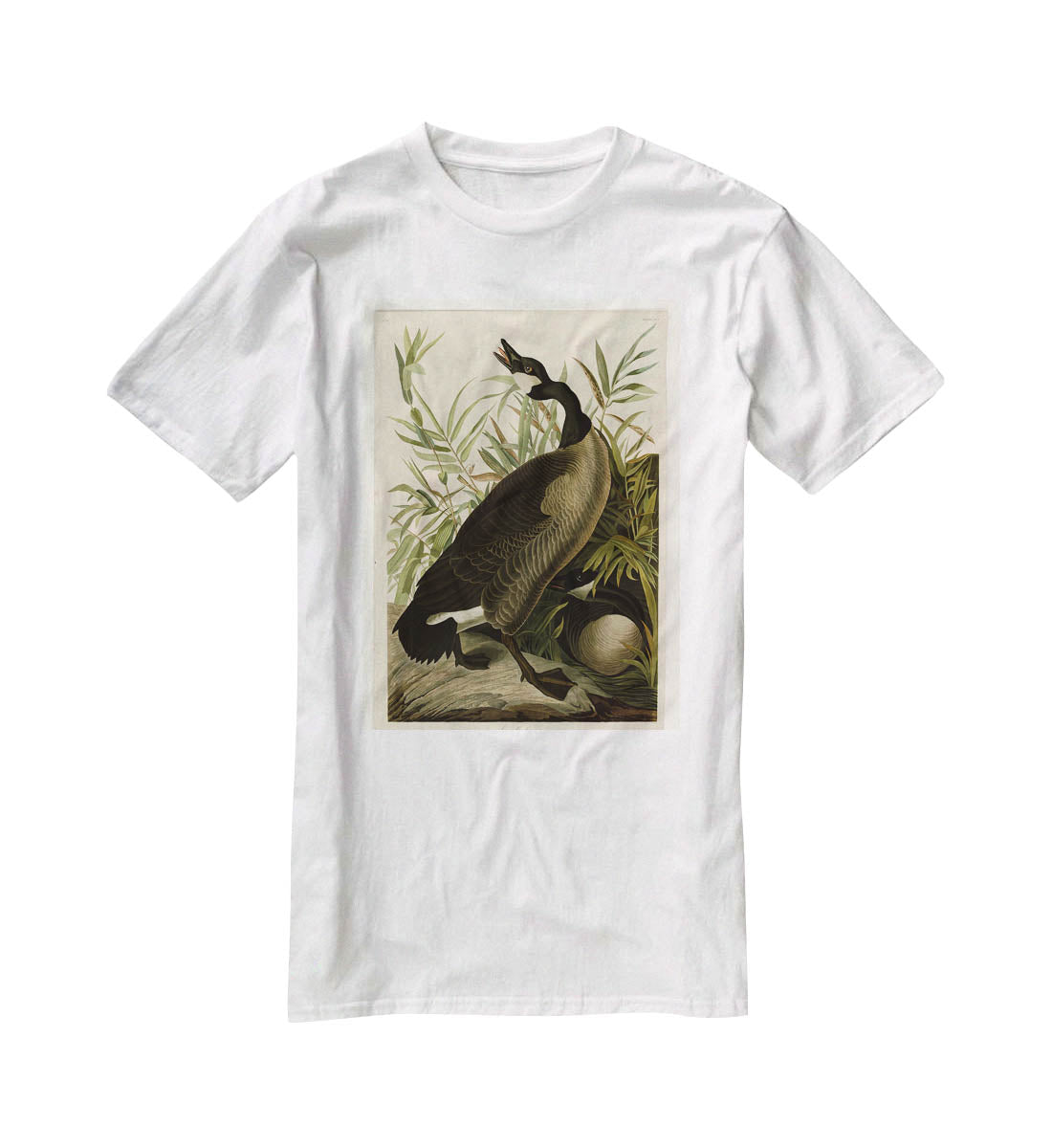 Canada Goose by Audubon T-Shirt - Canvas Art Rocks - 5
