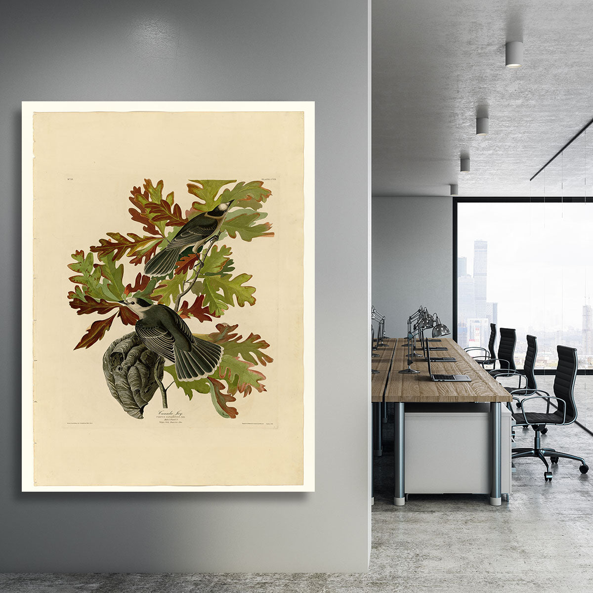 Canada Jay by Audubon Canvas Print or Poster - Canvas Art Rocks - 3