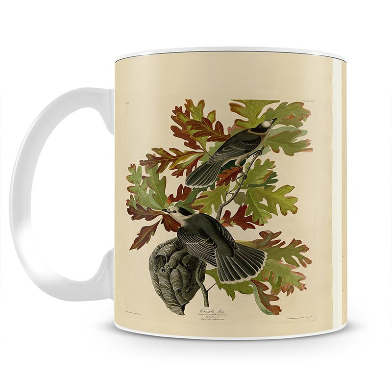 Canada Jay by Audubon Mug - Canvas Art Rocks - 1