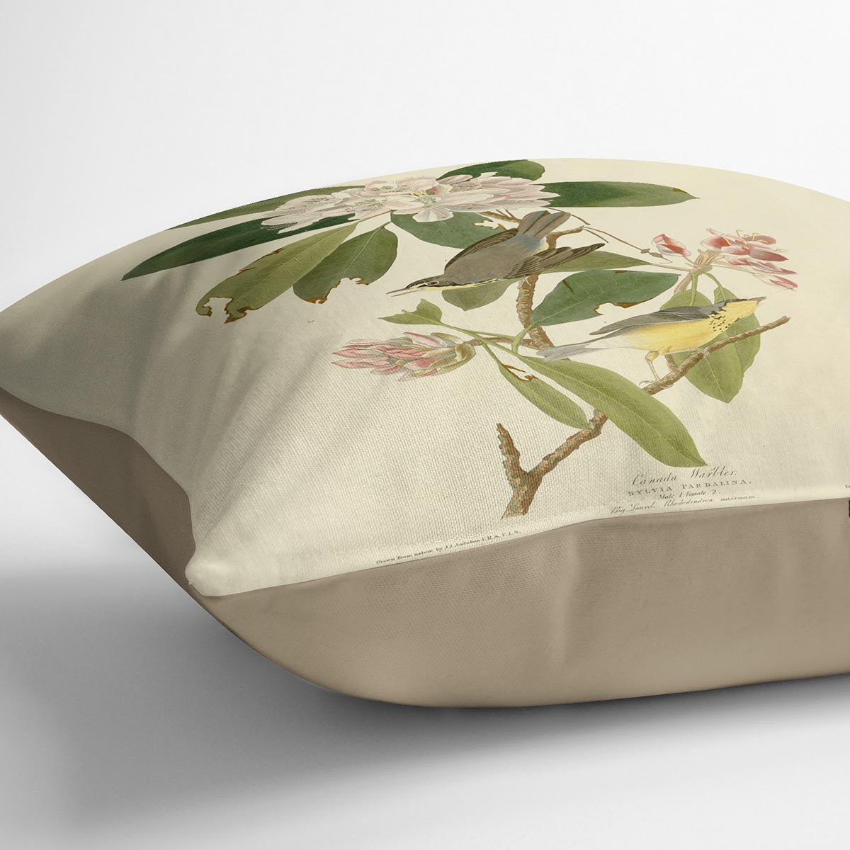 Canada Warbler by Audubon Cushion