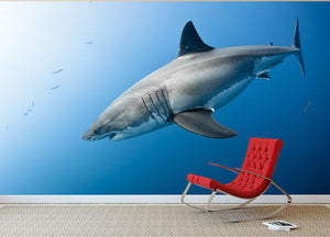 Carcharodon carcharias in pacific ocean Wall Mural Wallpaper - Canvas Art Rocks - 3