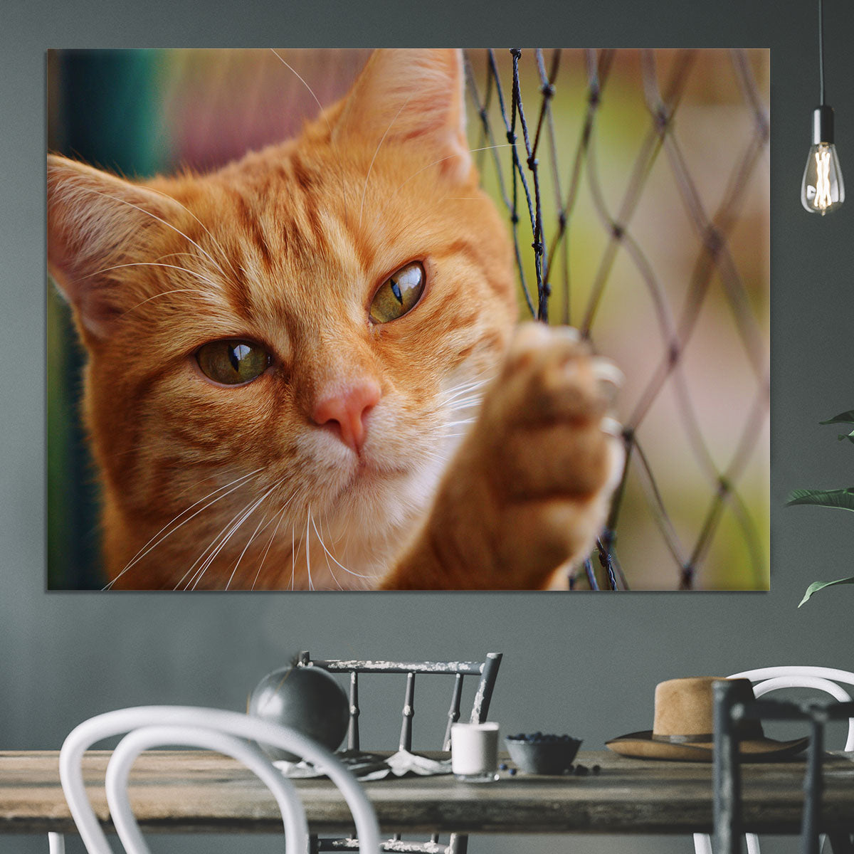 Cat Canvas Print or Poster - Canvas Art Rocks - 3