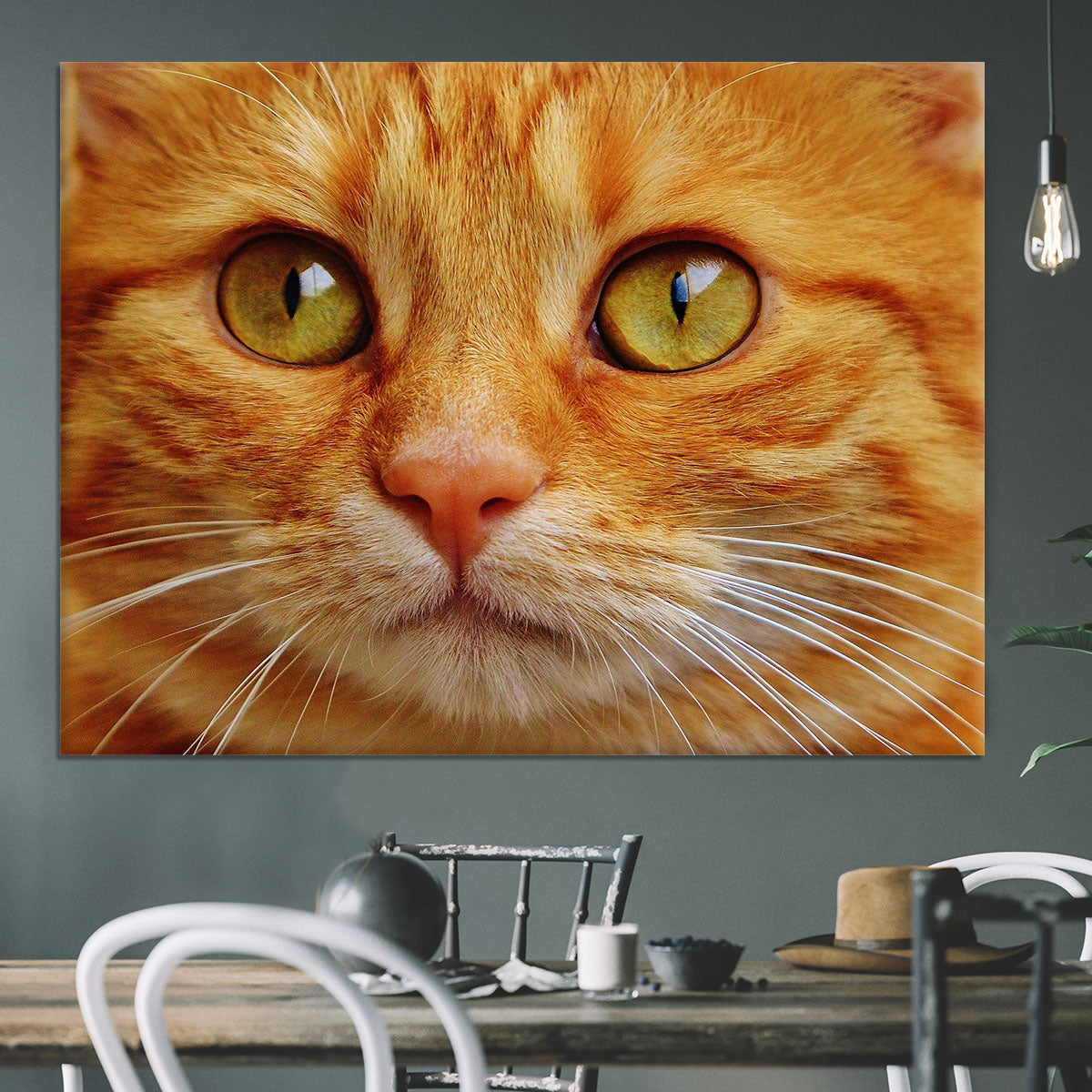 Cat Close Up Canvas Print or Poster - Canvas Art Rocks - 3