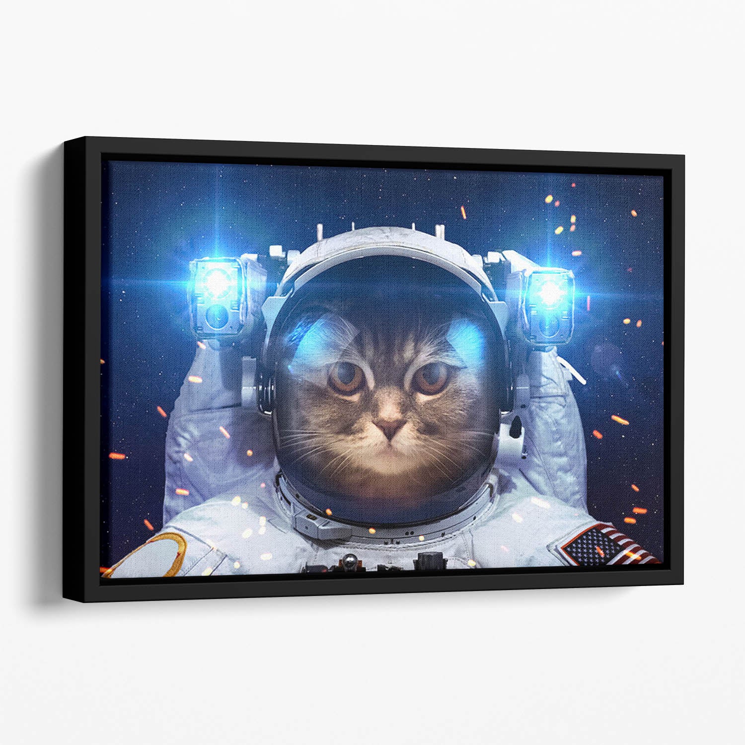 Cat in Space Floating Framed Canvas