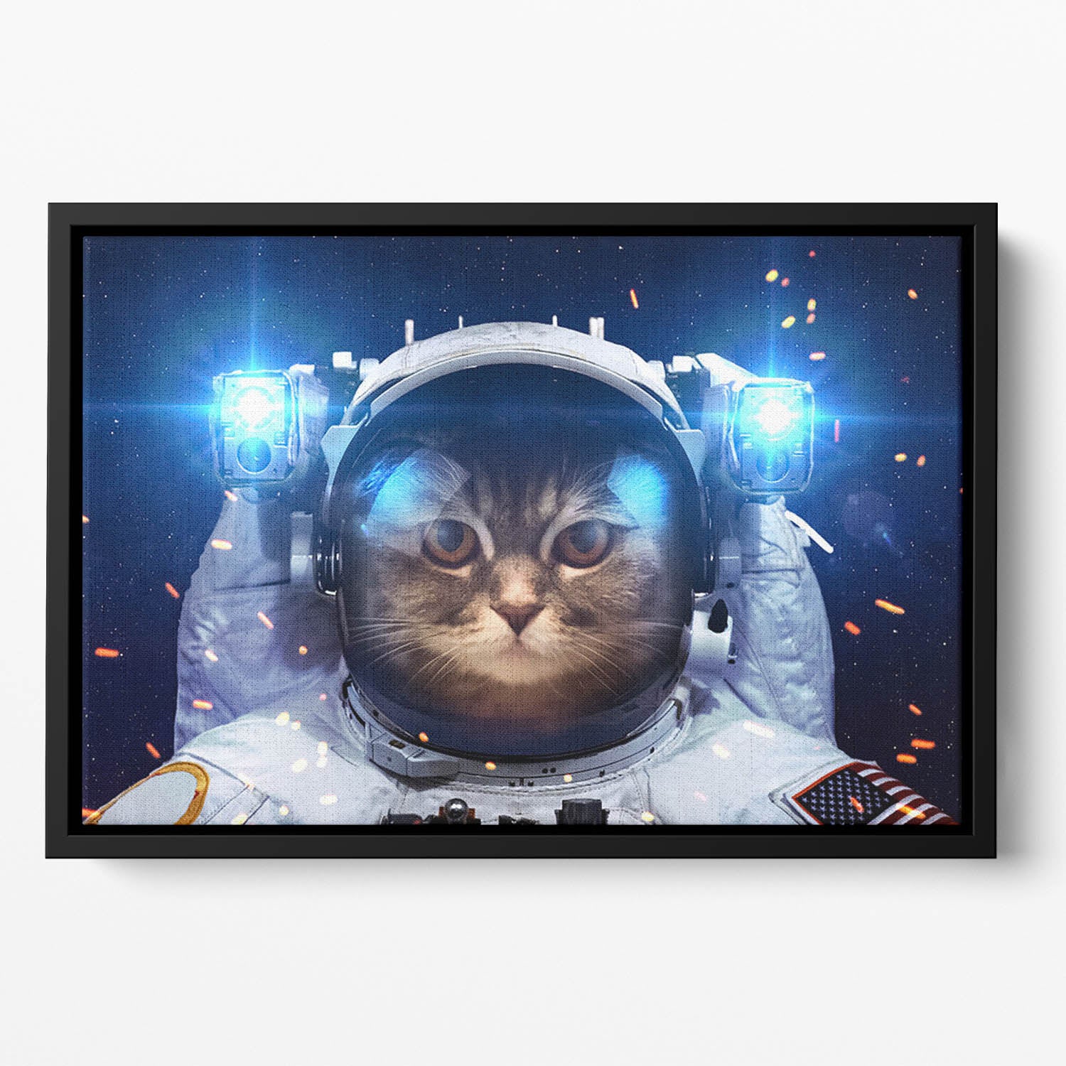 Cat in Space Floating Framed Canvas