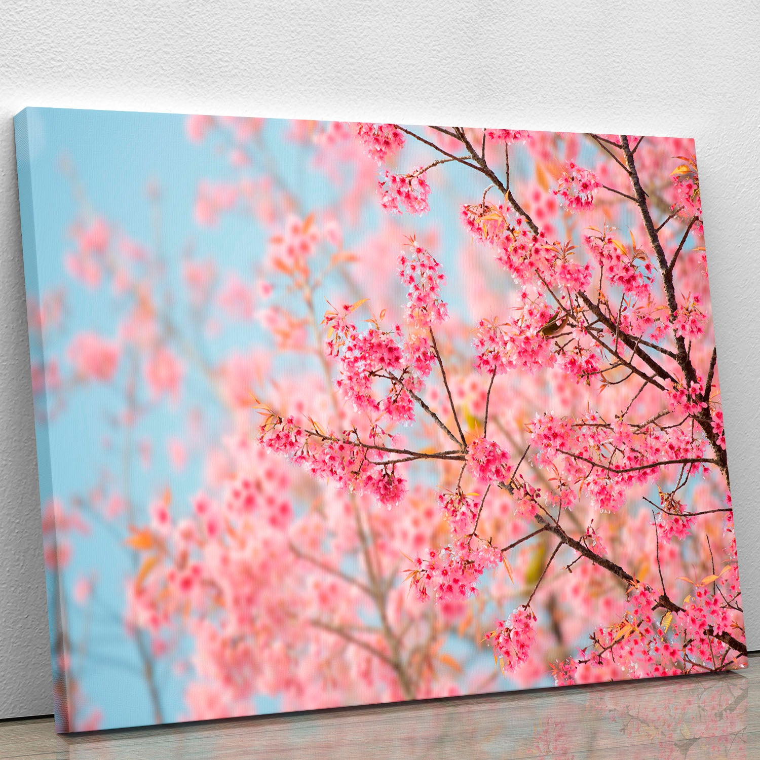 Cherry Blossom Canvas Print or Poster - Canvas Art Rocks - 1
