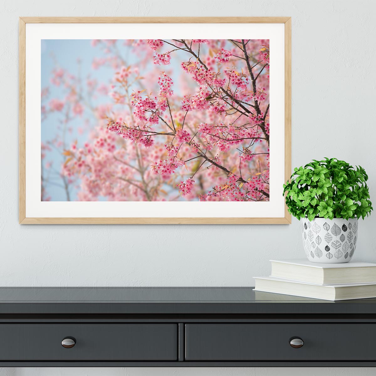 Cherry Blossom Framed Print - Canvas Art Rocks - 3