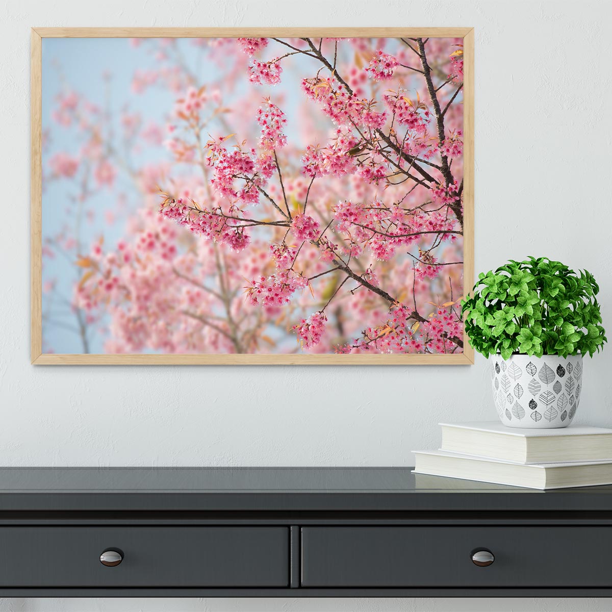 Cherry Blossom Framed Print - Canvas Art Rocks - 4
