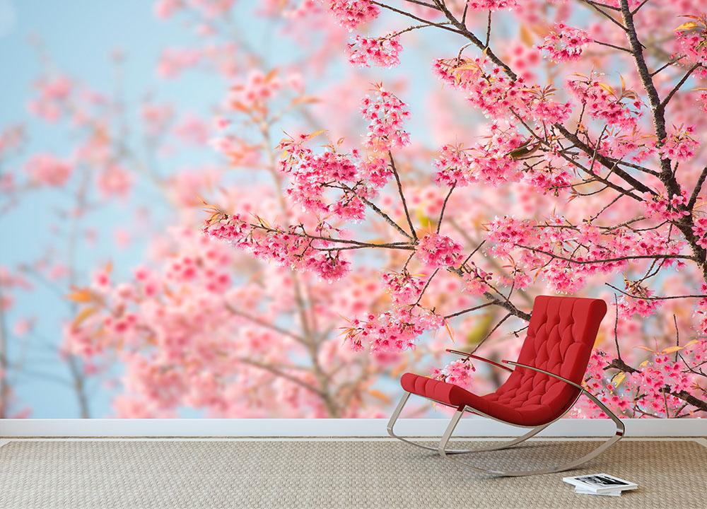 Cherry Blossom Wall Mural Wallpaper Canvas Art Rocks