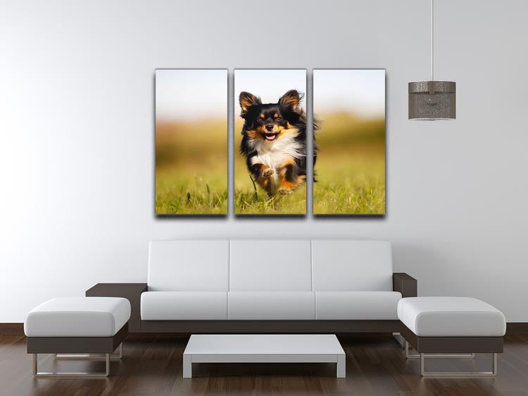 Chihuahua dog running towards the camera in a grass field 3 Split Panel Canvas Print - Canvas Art Rocks - 3