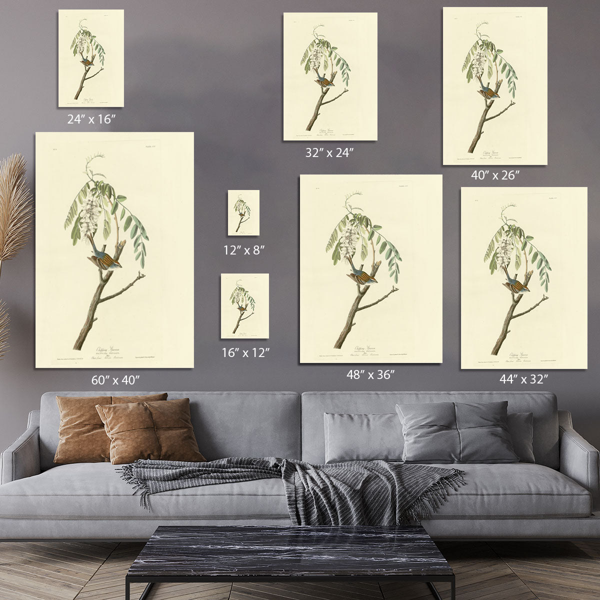 Chipping Sparrow by Audubon Canvas Print or Poster - Canvas Art Rocks - 7