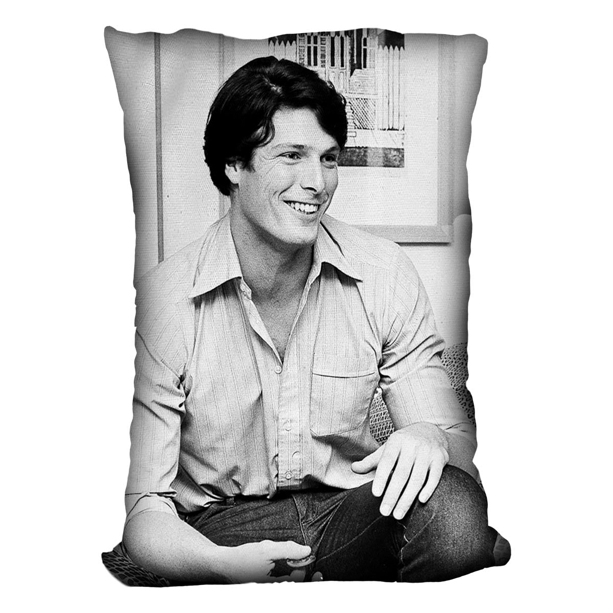 Christopher Reeve Cushion