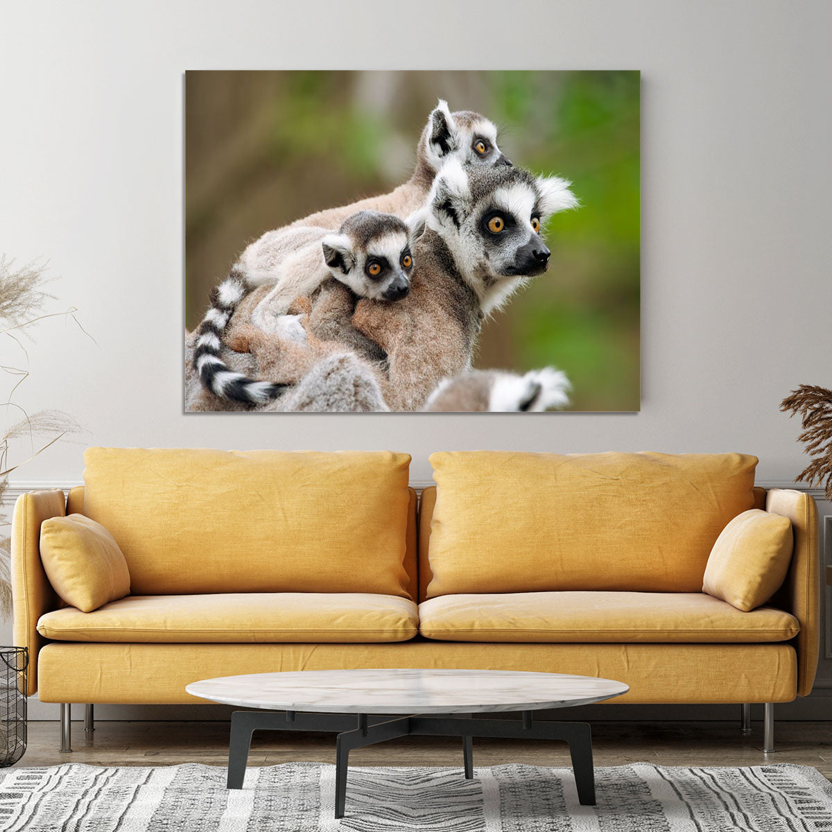 Close-up of a ring-tailed lemur Canvas Print or Poster - Canvas Art Rocks - 4