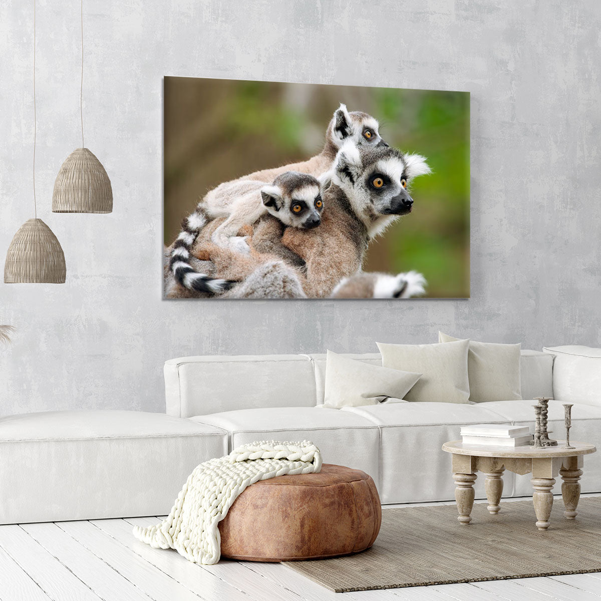 Close-up of a ring-tailed lemur Canvas Print or Poster - Canvas Art Rocks - 6