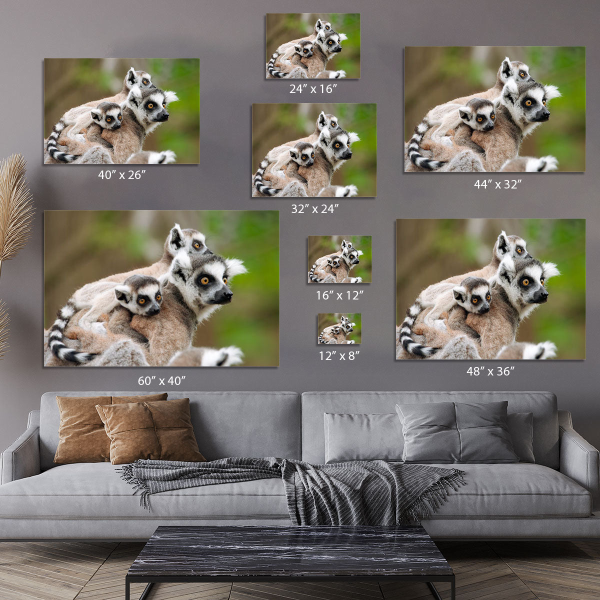 Close-up of a ring-tailed lemur Canvas Print or Poster - Canvas Art Rocks - 7