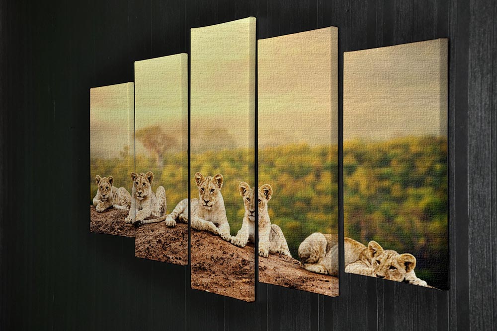 Close up of lion cubs laying together 5 Split Panel Canvas - Canvas Art Rocks - 2