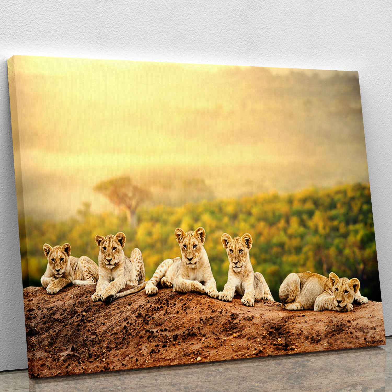 Close up of lion cubs laying together Canvas Print or Poster - Canvas Art Rocks - 1