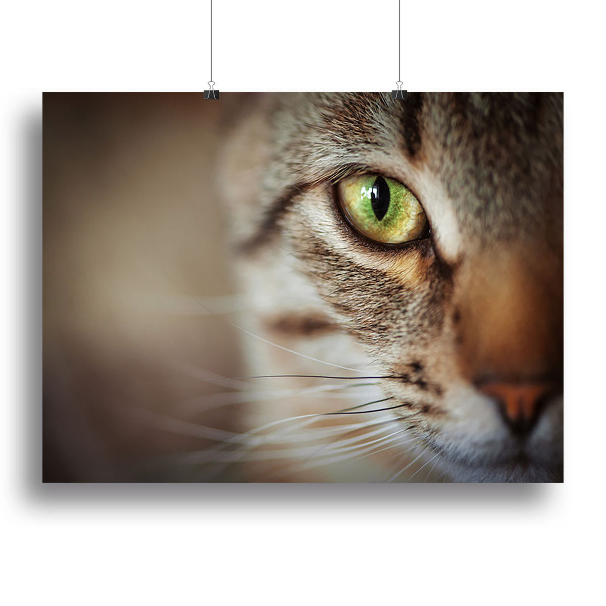 Closeup of tabby cat face. Fauna background Canvas Print or Poster - Canvas Art Rocks - 2