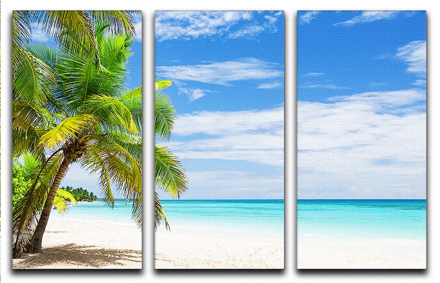 Coconut Palm trees on white sandy beach 3 Split Panel Canvas Print - Canvas Art Rocks - 1