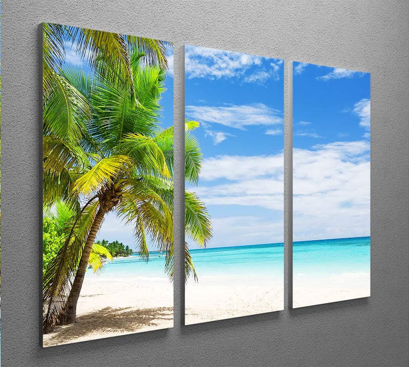 Coconut Palm trees on white sandy beach 3 Split Panel Canvas Print - Canvas Art Rocks - 2