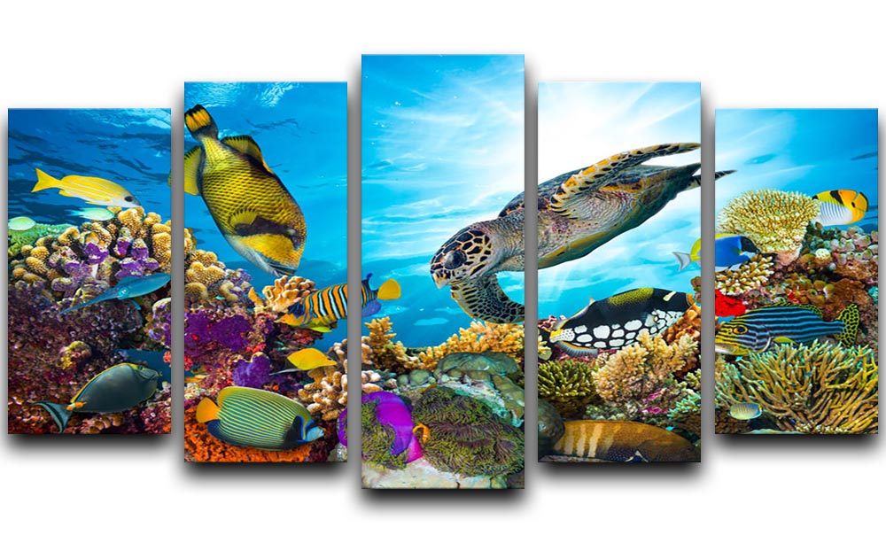Colorful coral reef 5 Split Panel Canvas - Canvas Art Rocks - 1