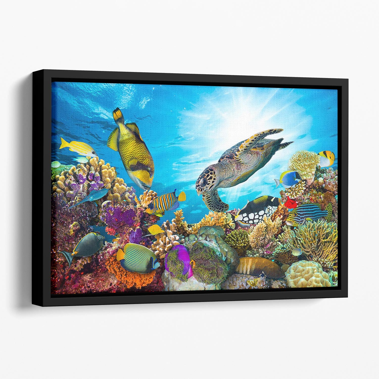 Colorful coral reef Floating Framed Canvas - Canvas Art Rocks - 1