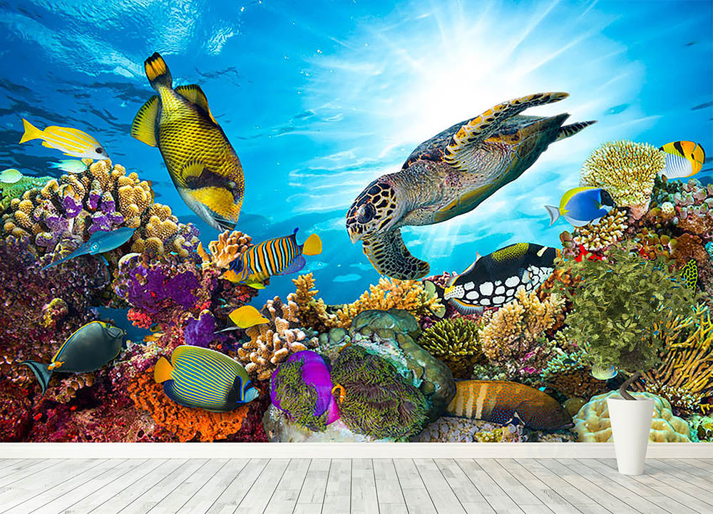 Colorful coral reef Wall Mural Wallpaper Canvas Art Rocks