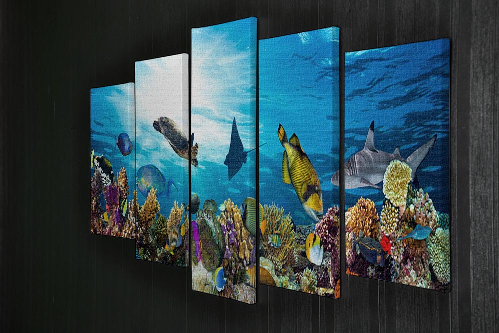Colorful coral reef with many fishes and sea turtle 5 Split Panel Canvas - Canvas Art Rocks - 2
