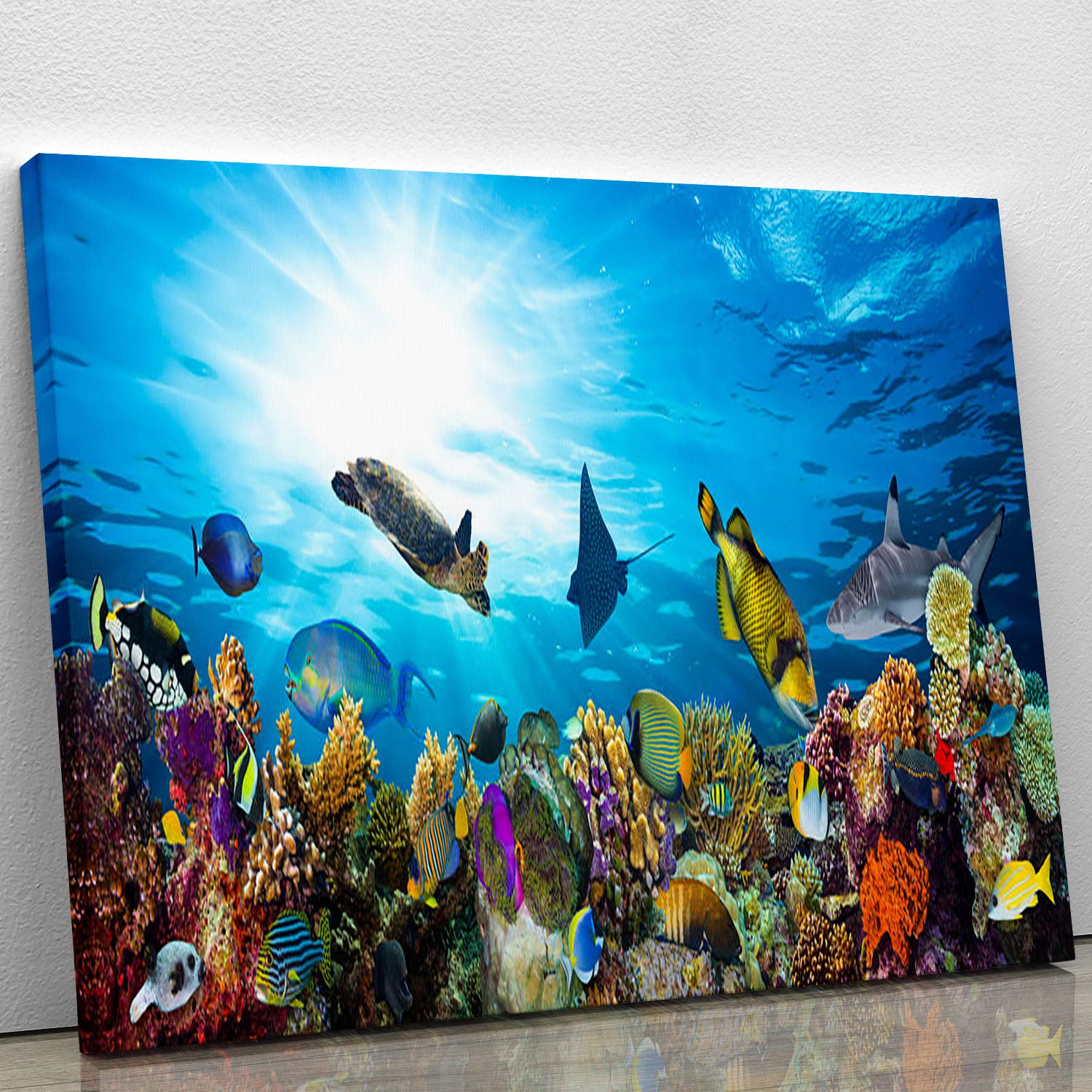 Colorful coral reef with many fishes and sea turtle Canvas Print or Poster - Canvas Art Rocks - 1