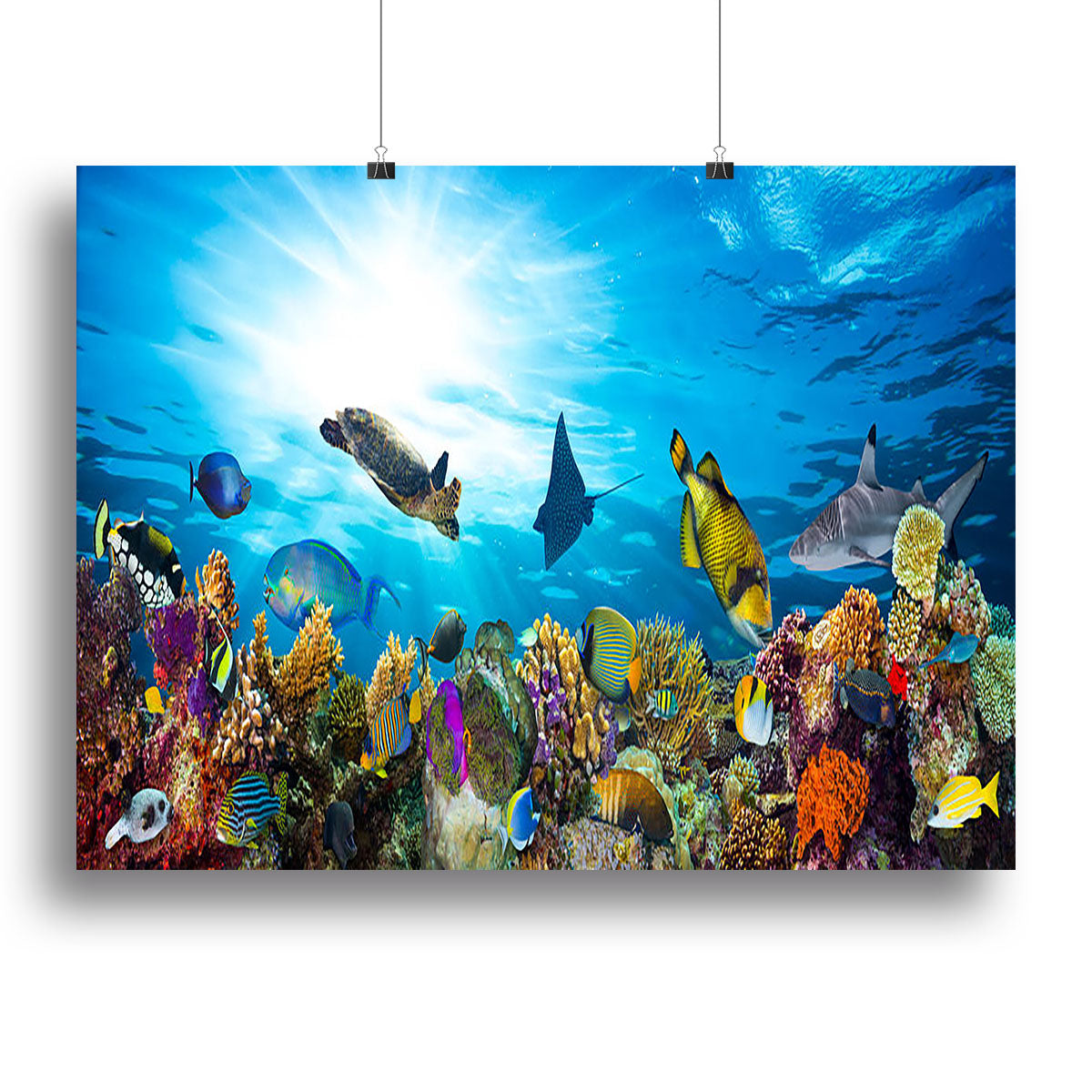Colorful coral reef with many fishes and sea turtle Canvas Print or Poster - Canvas Art Rocks - 2