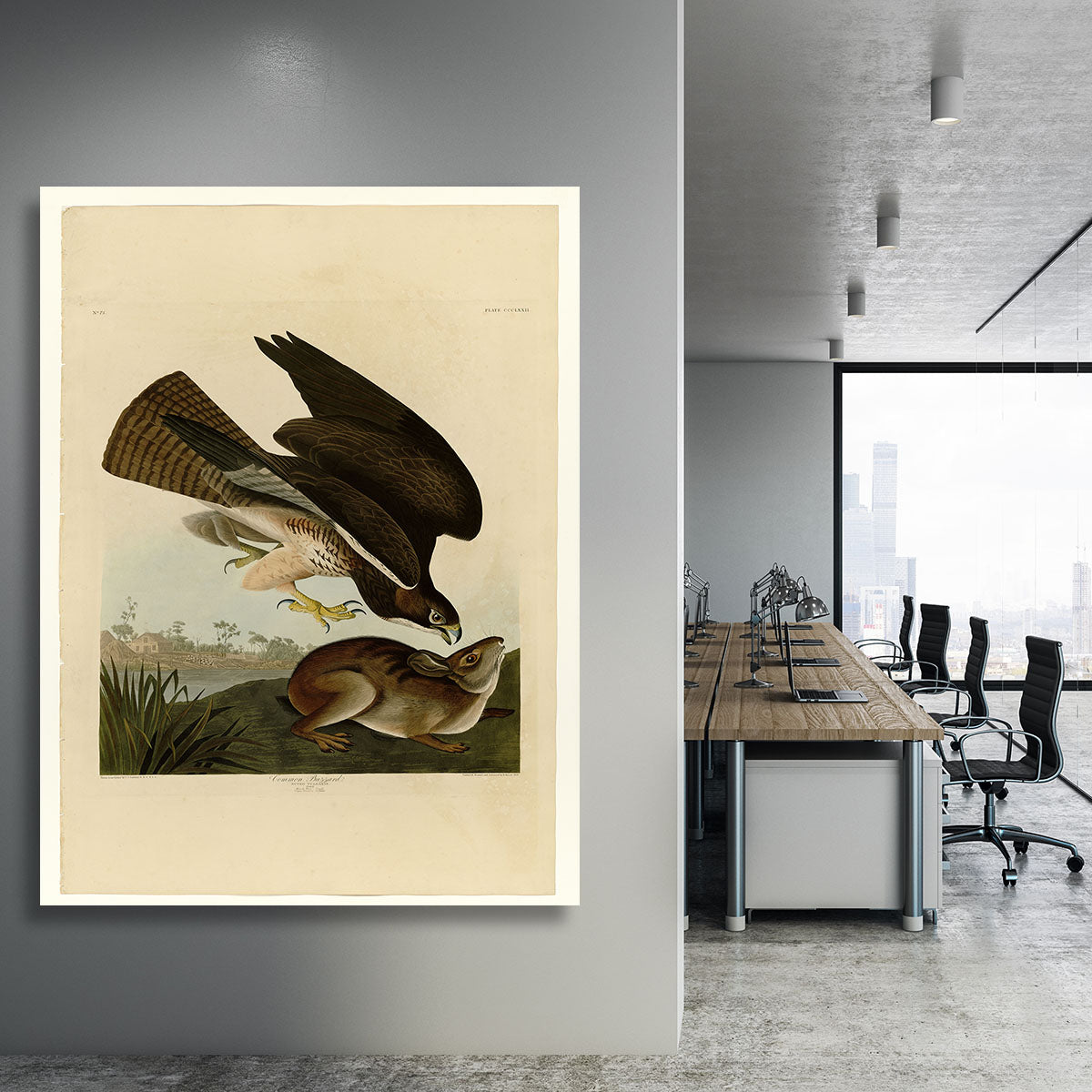 Common Buzzard by Audubon Canvas Print or Poster - Canvas Art Rocks - 3