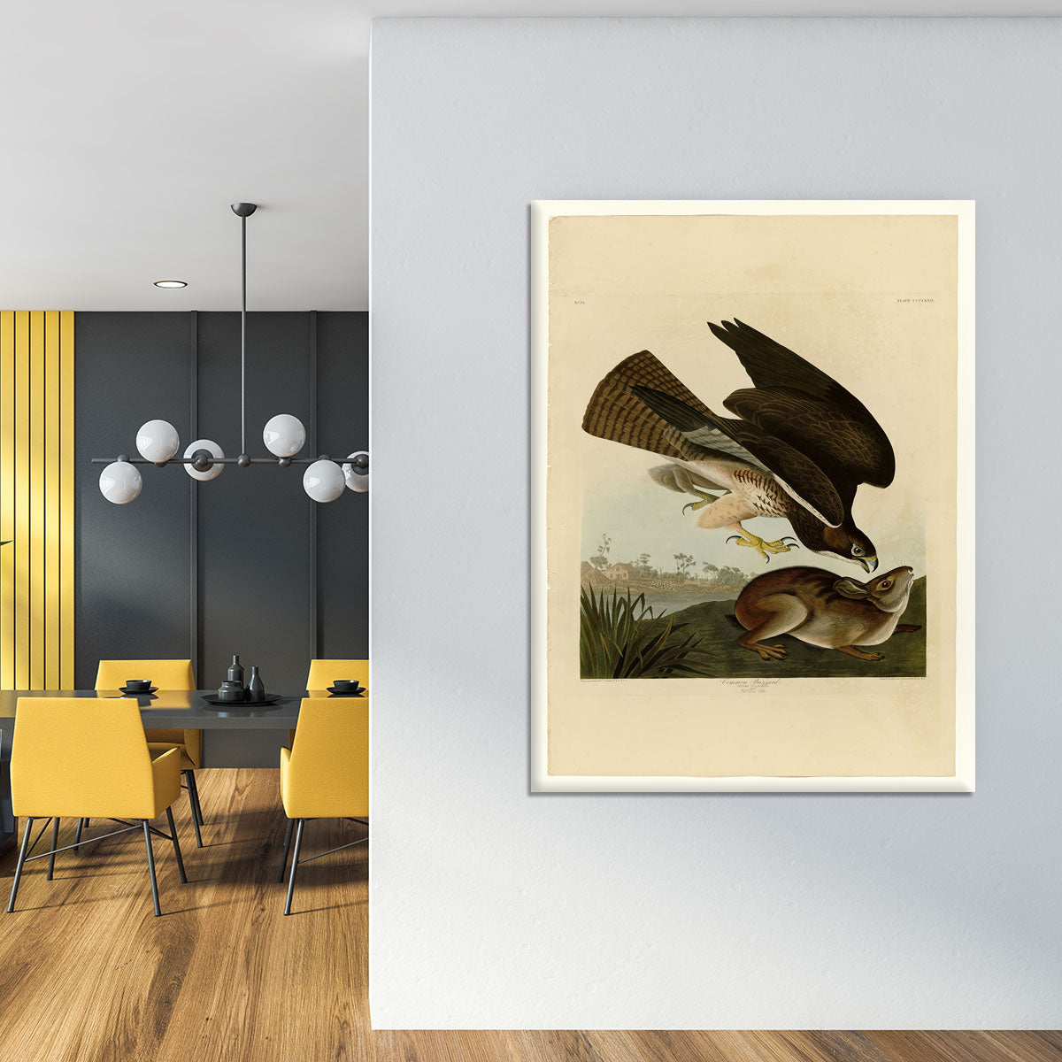 Common Buzzard by Audubon Canvas Print or Poster - Canvas Art Rocks - 4
