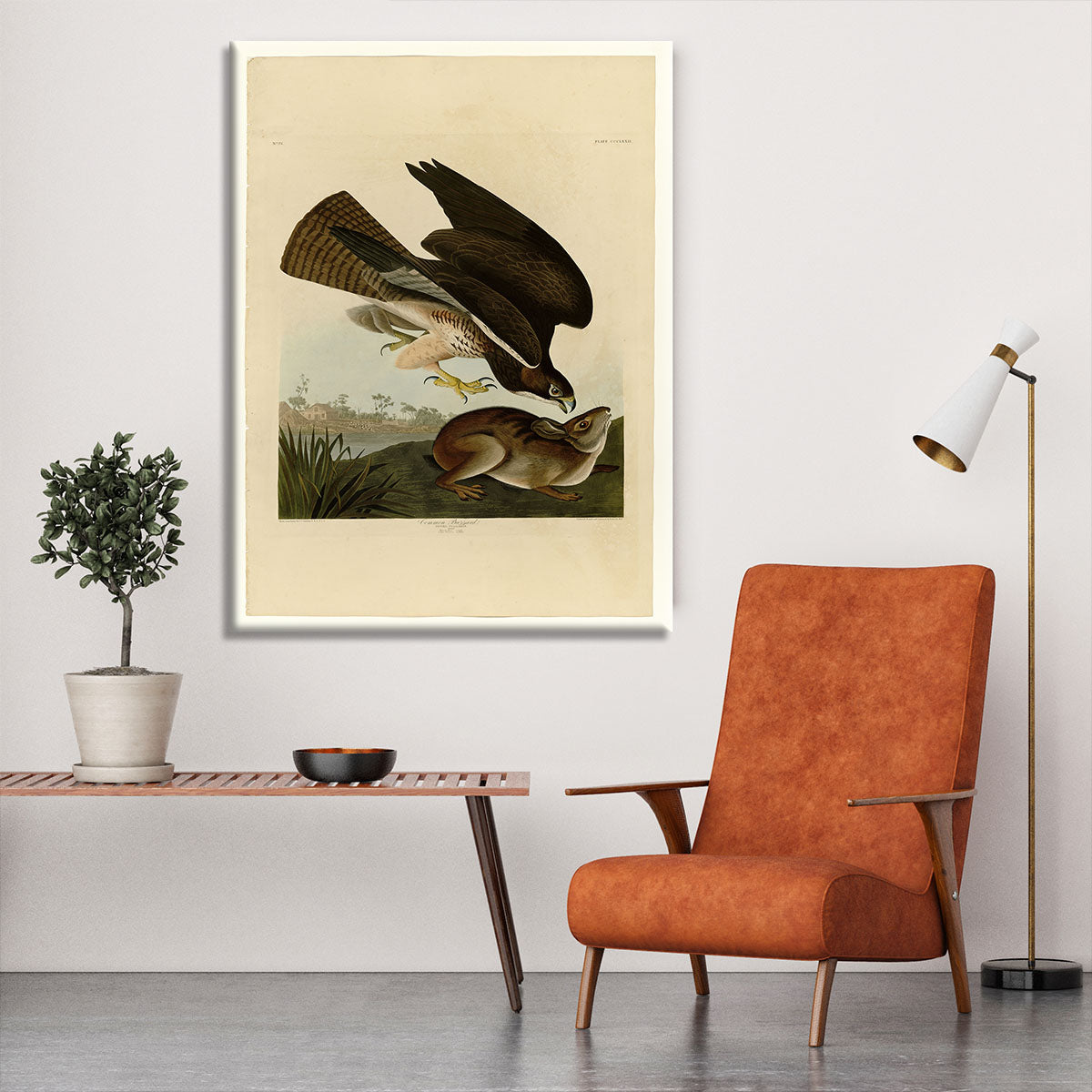 Common Buzzard by Audubon Canvas Print or Poster - Canvas Art Rocks - 6
