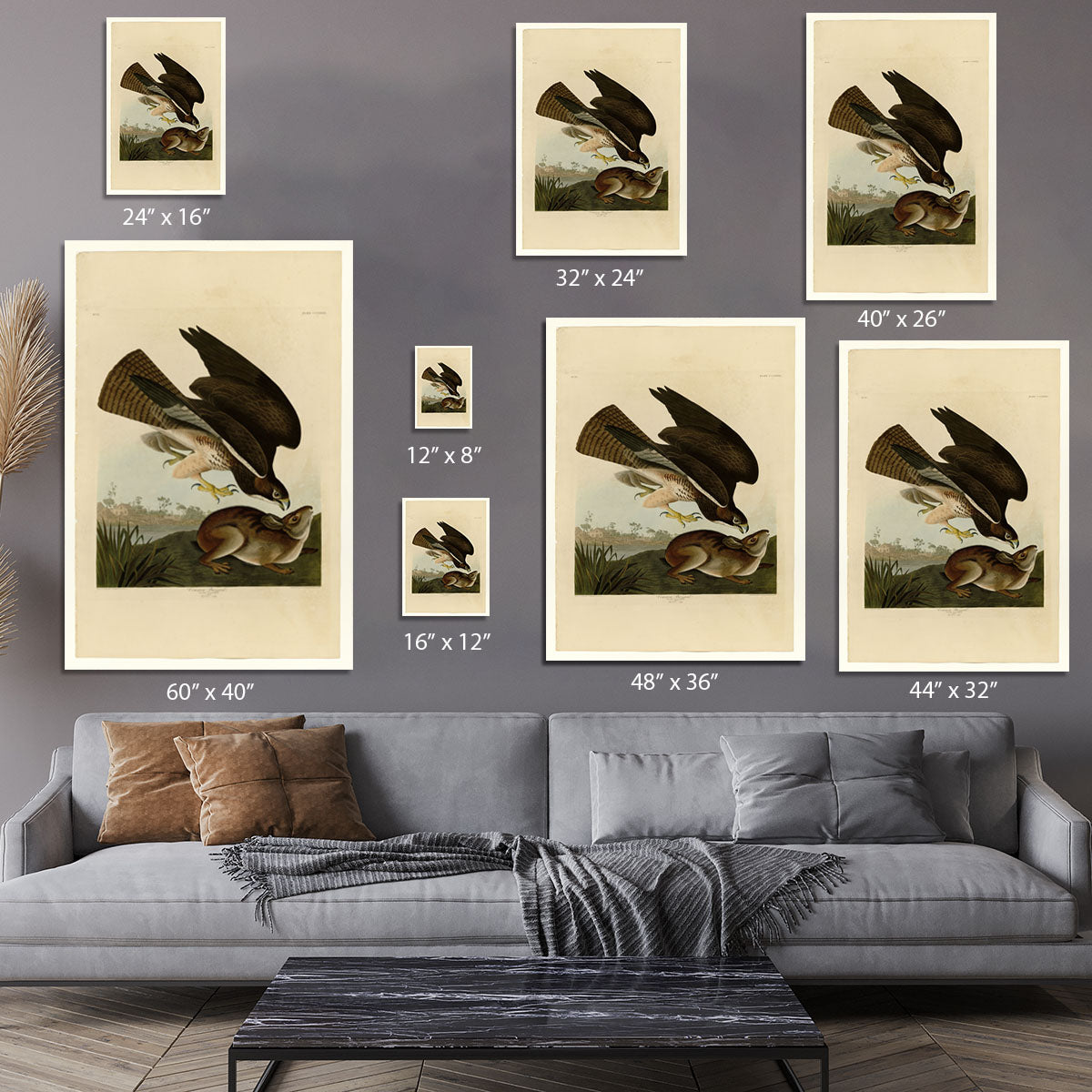 Common Buzzard by Audubon Canvas Print or Poster - Canvas Art Rocks - 7