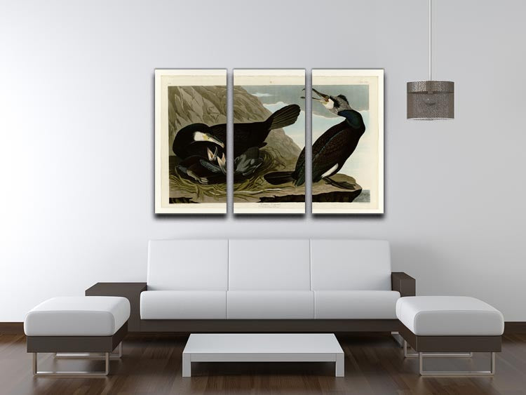 Common Cormorant by Audubon 3 Split Panel Canvas Print - Canvas Art Rocks - 3