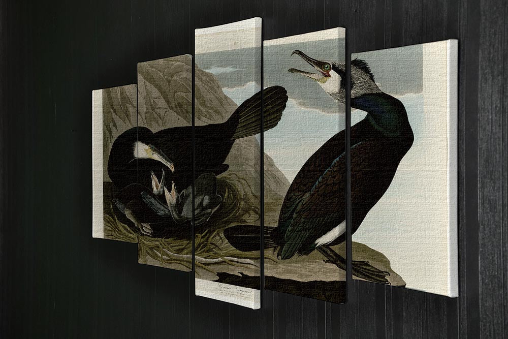 Common Cormorant by Audubon 5 Split Panel Canvas - Canvas Art Rocks - 2