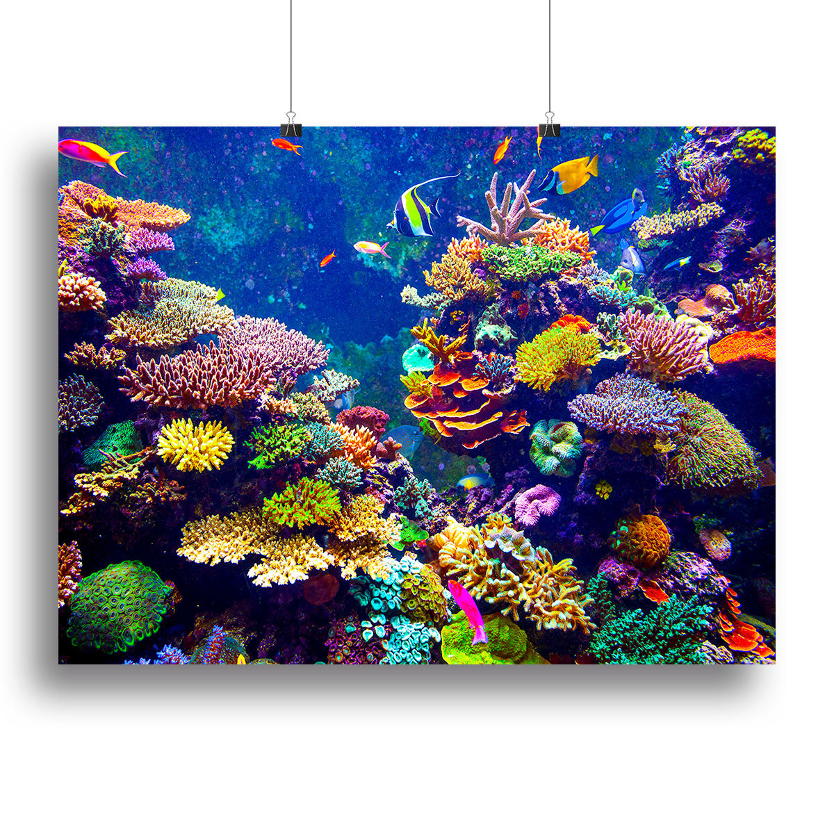 Coral Reef and Tropical Fish Canvas Print or Poster - Canvas Art Rocks - 2