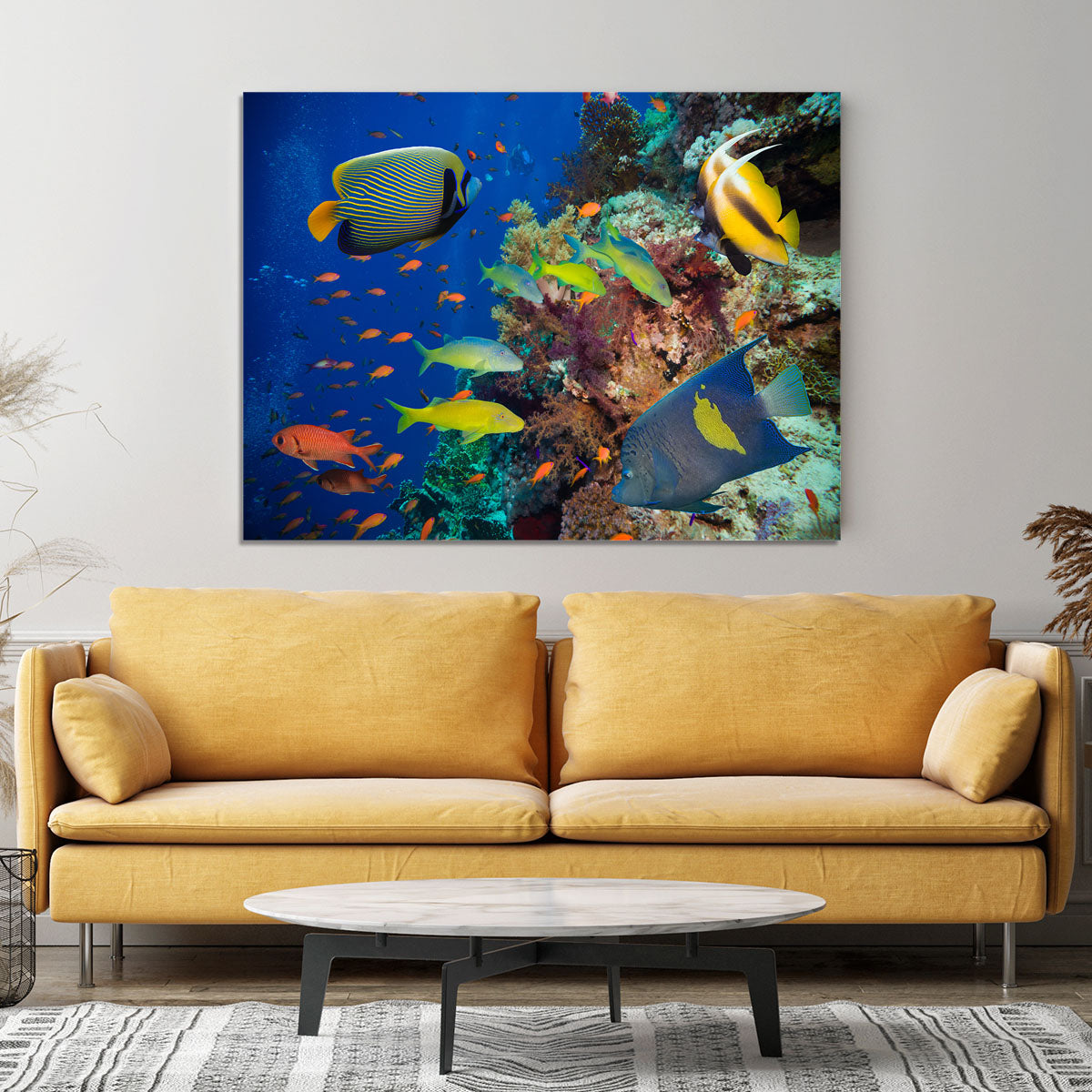 Coral Reef on Red Sea Canvas Print or Poster - Canvas Art Rocks - 4