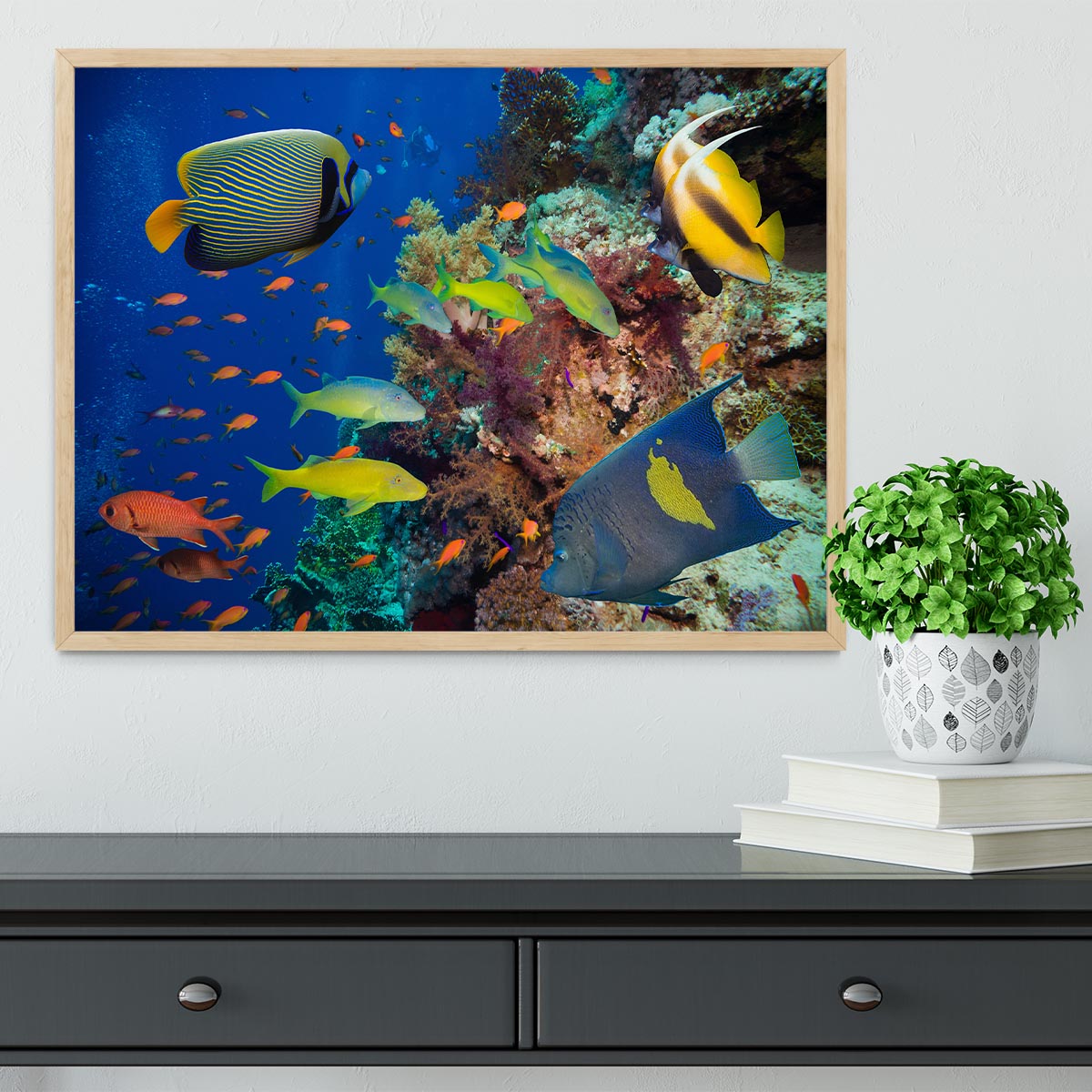 Coral Reef on Red Sea Framed Print - Canvas Art Rocks - 4