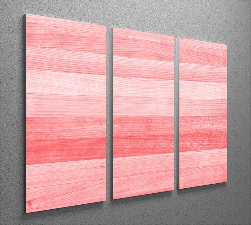 Coral pink or peach and salmon color 3 Split Panel Canvas Print - Canvas Art Rocks - 2