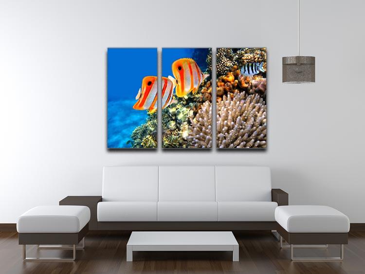 Coral reef and Copperband butterflyfish 3 Split Panel Canvas Print - Canvas Art Rocks - 3