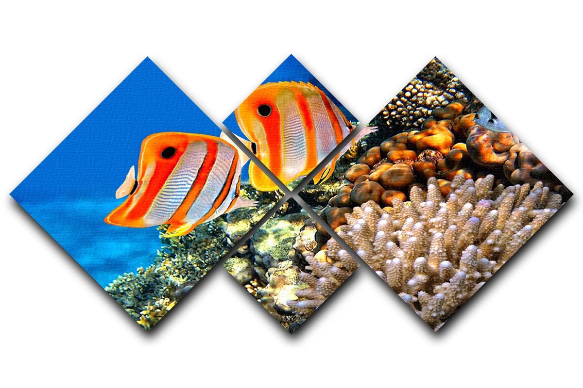 Coral reef and Copperband butterflyfish 4 Square Multi Panel Canvas  - Canvas Art Rocks - 1