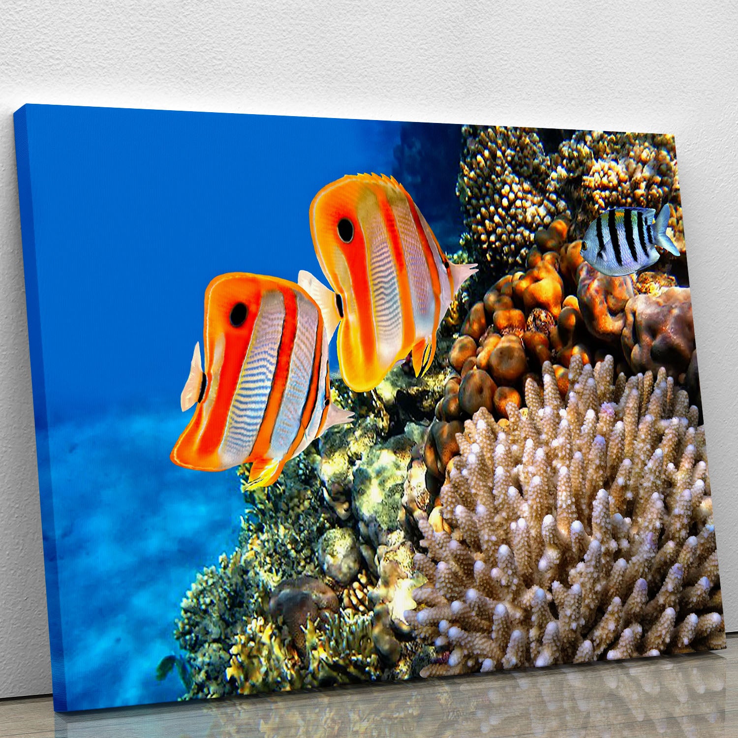 Coral reef and Copperband butterflyfish Canvas Print or Poster - Canvas Art Rocks - 1