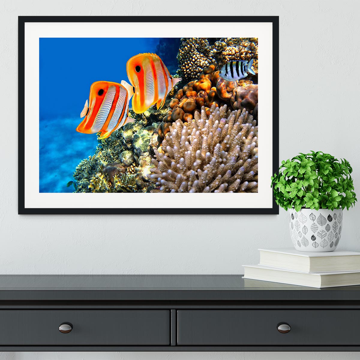 Coral reef and Copperband butterflyfish Framed Print - Canvas Art Rocks - 1