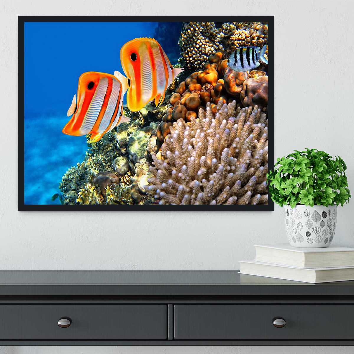Coral reef and Copperband butterflyfish Framed Print - Canvas Art Rocks - 2