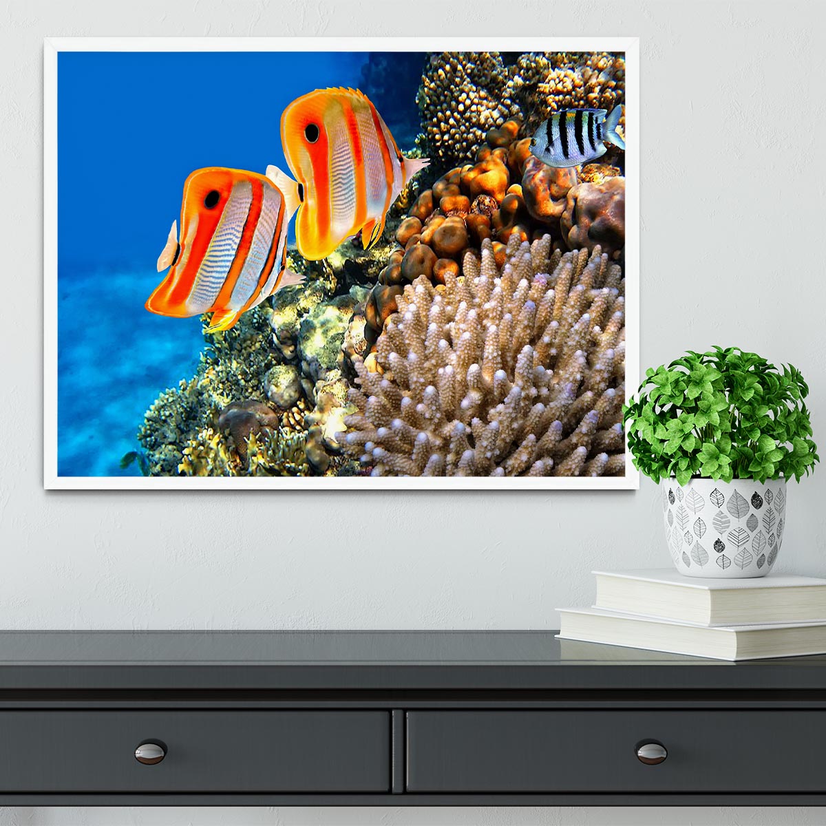Coral reef and Copperband butterflyfish Framed Print - Canvas Art Rocks -6