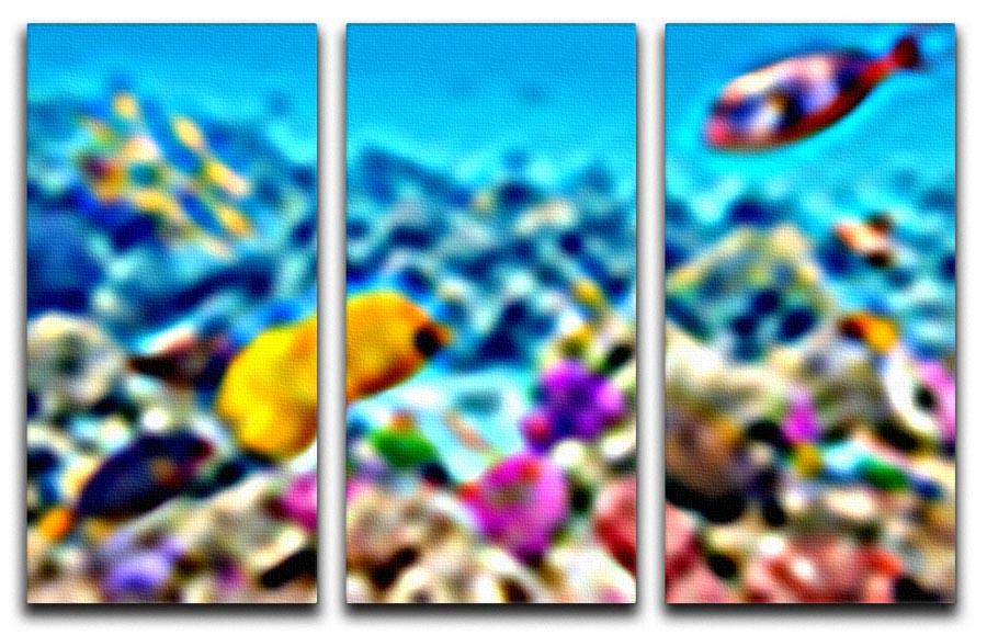 Corals and tropical fish 3 Split Panel Canvas Print - Canvas Art Rocks - 1