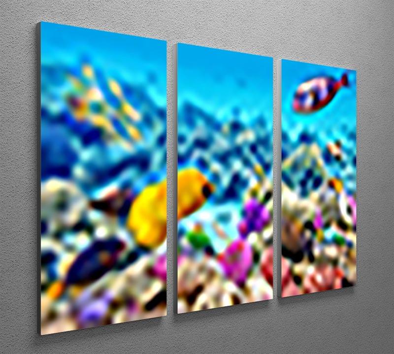 Corals and tropical fish 3 Split Panel Canvas Print - Canvas Art Rocks - 2