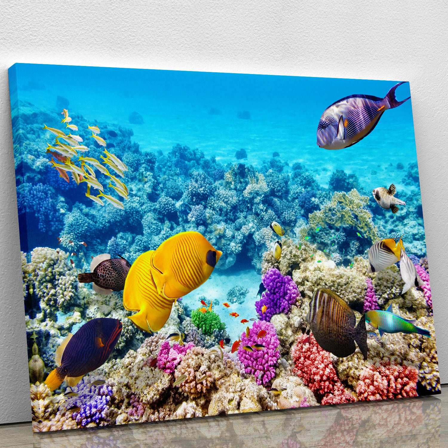 Corals and tropical fish Canvas Print or Poster - Canvas Art Rocks - 1